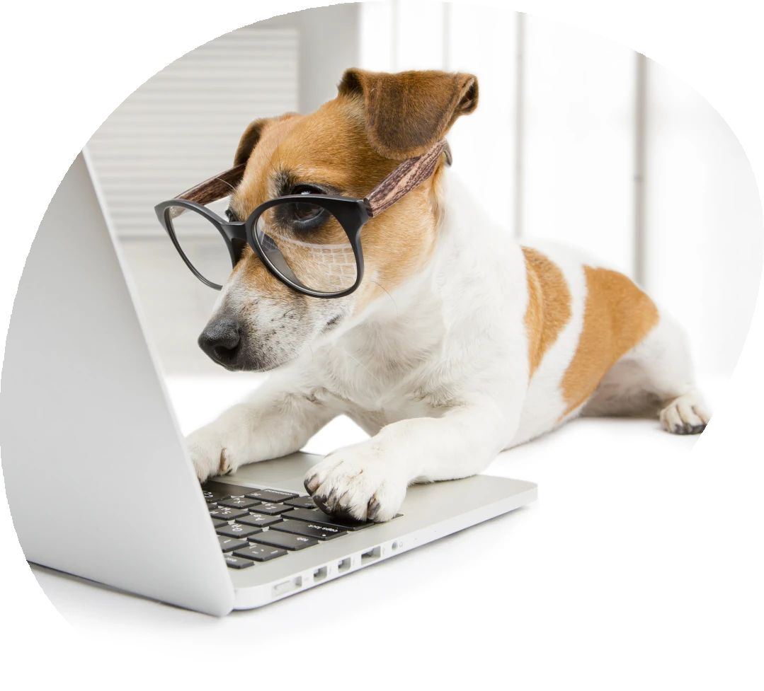 Hund med laptop