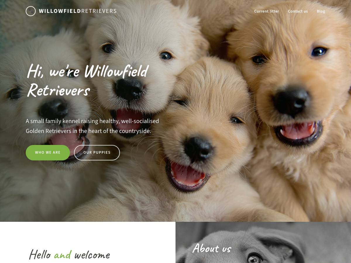 Dog Breeder Theme